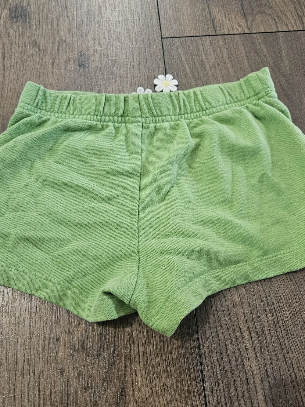 Gymboree green daisy